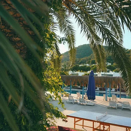 Club Afrodit Tatil Koeyue Hotel Altinoluk